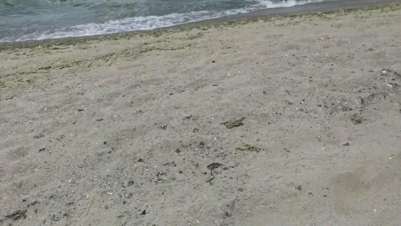 Sexo anal en la playa